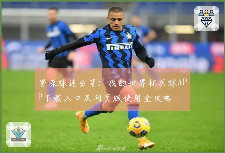 资深球迷分享：我的世界杯买球APP下载入口及网页版使用全攻略