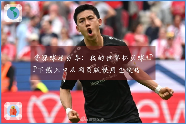 资深球迷分享：我的世界杯买球APP下载入口及网页版使用全攻略