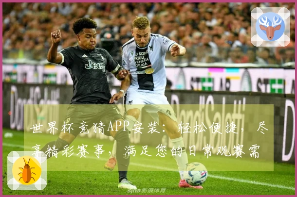 世界杯竞猜APP安装：轻松便捷，尽享精彩赛事，满足您的日常观赛需求