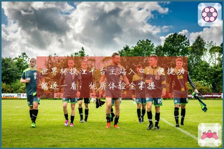 世界杯投注平台主站入口：便捷功能逐一看，优质体验全掌握